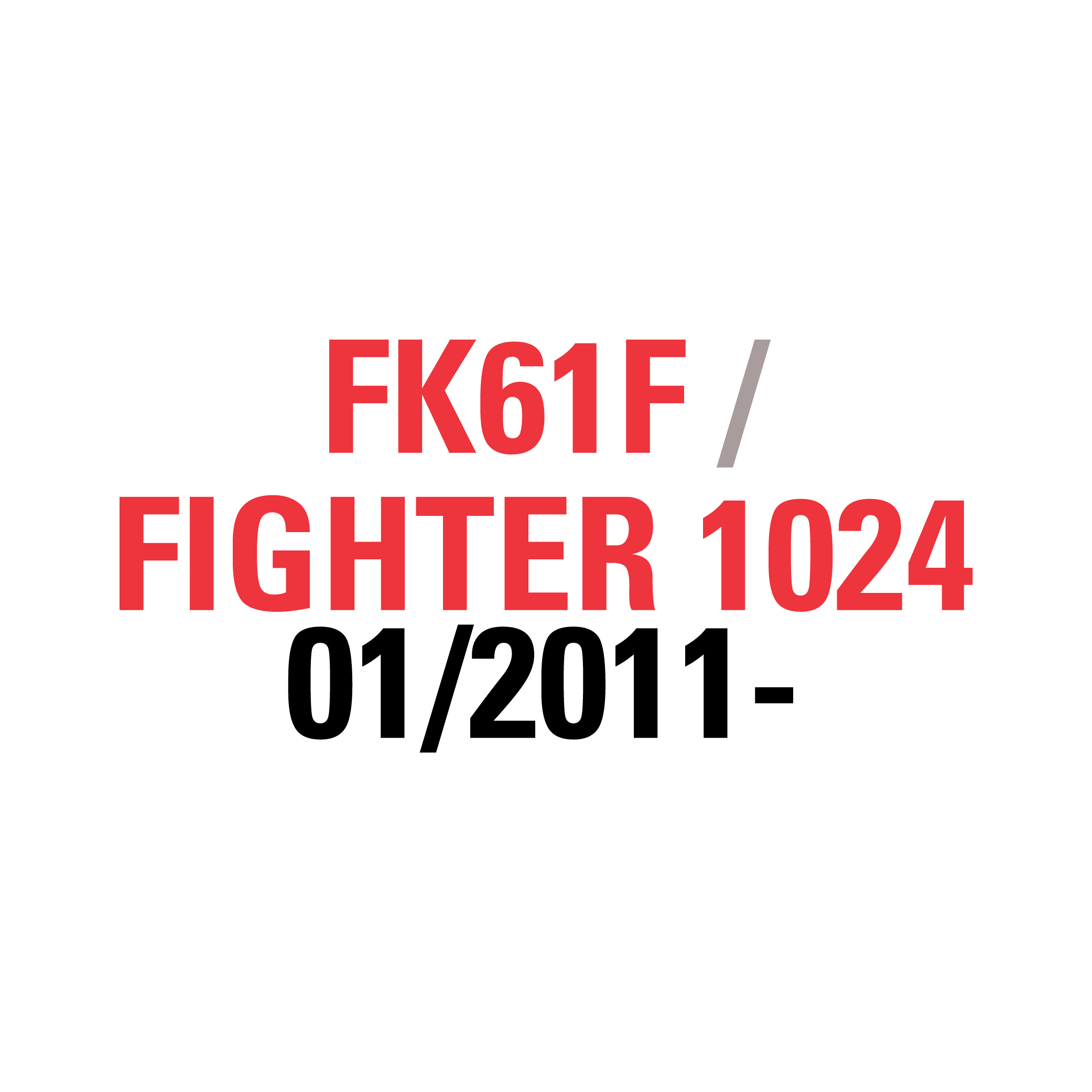 FK61F FIGHTER 1024 01/2011-